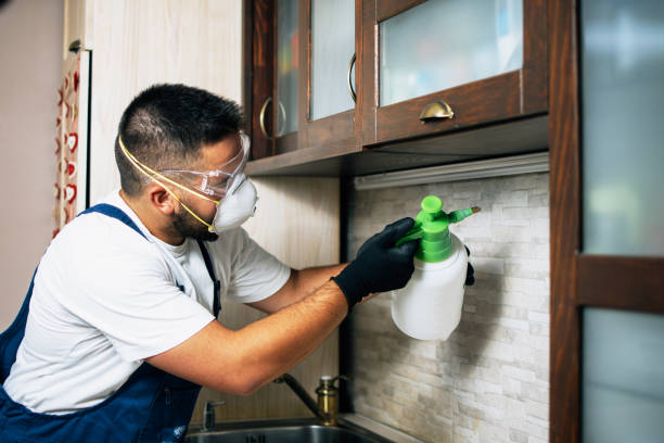 Best Ant Control Services  in Sparta, MI