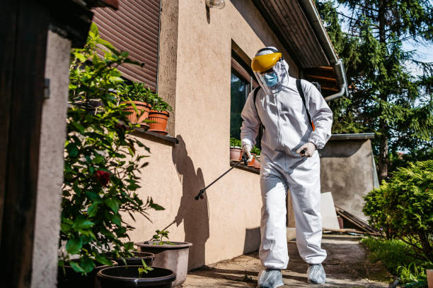 Best Cockroach Control Services  in Sparta, MI
