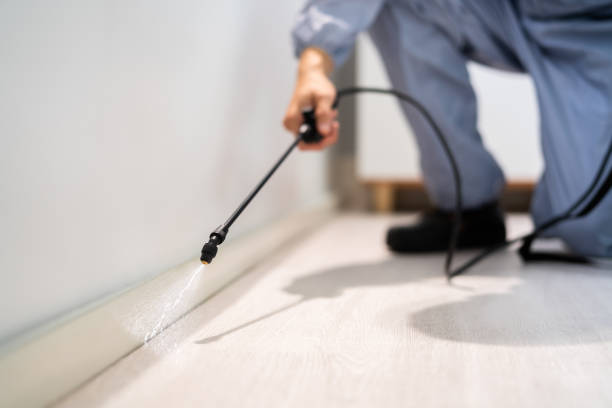 Pest Control Cost in Sparta, MI