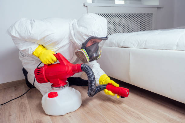 Wasp Removal Services in Sparta, MI