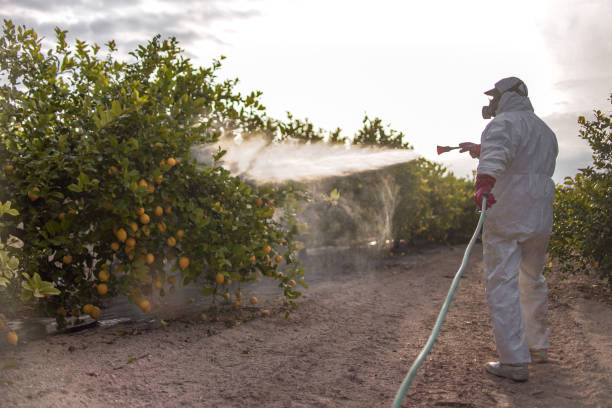 Best Affordable Pest Control Services  in Sparta, MI