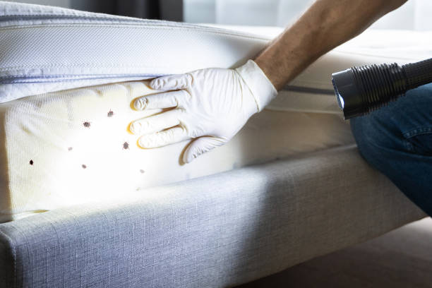 Best Emergency Pest Control  in Sparta, MI