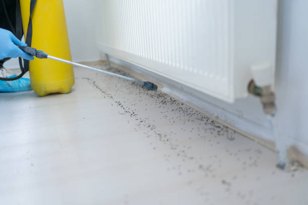Best Pest Control Near Me  in Sparta, MI