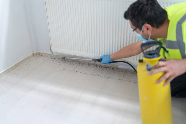 Best Affordable Pest Control Services  in Sparta, MI
