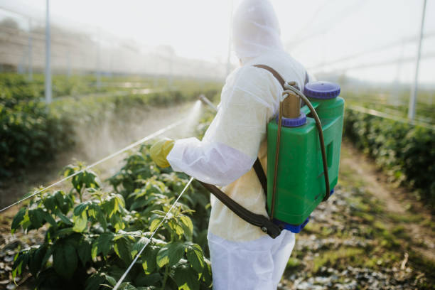 Best Wasp Removal Services  in Sparta, MI